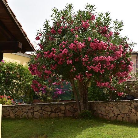 Splendida Villetta Tavolara 1 Vaccileddi Exterior photo